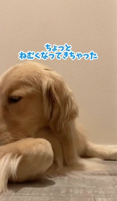「眠くなってきた」