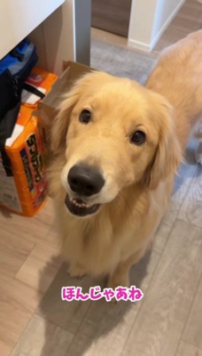 「僕も一緒に行くよ！」