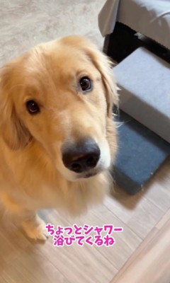 シャワー浴びてくるね