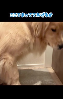 「ここで待つか…」