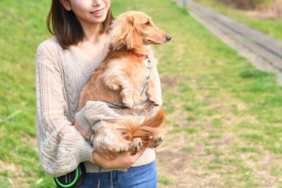 散歩中に犬を抱っこする