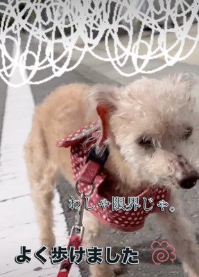 おつかれさま！