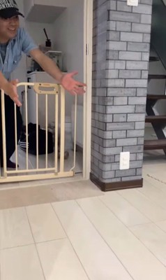 寧々ちゃん＆茶々ちゃんのお出迎え8