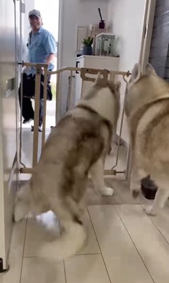 寧々ちゃん＆茶々ちゃんのお出迎え6