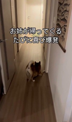 お姉ちゃんを熱烈歓迎するけいちゃん