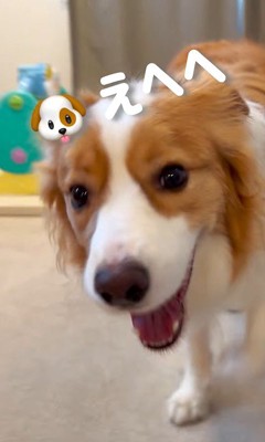 赤ちゃんを遊びに誘うまめ君⑩