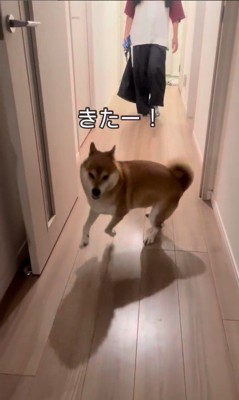お姉ちゃんを熱烈歓迎するけいちゃん3