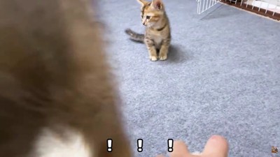 ！？