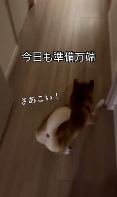 お姉ちゃんを熱烈歓迎するけいちゃん2