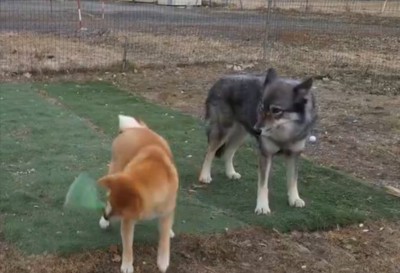 隣で