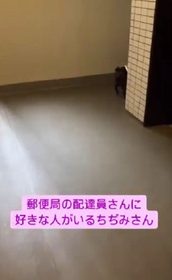 「あれ？いない…」