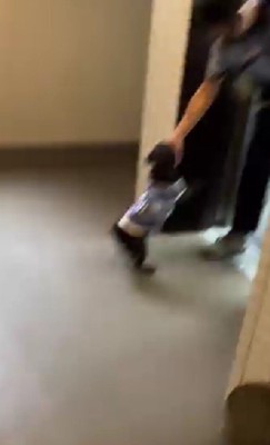 お客さんが登場！！