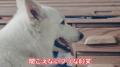 BJ くんに「お風呂入る?」と聞いたら8
