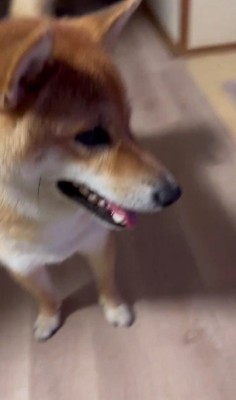 「！！」