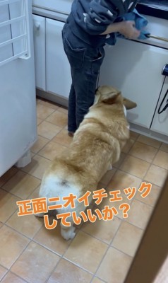 グイッ