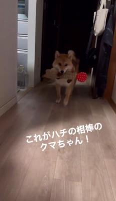 「これも持ってっていい！？」