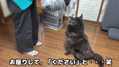 「赤ちゃんをください！」