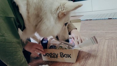 BJ くんに「お風呂入る?」と聞いたら