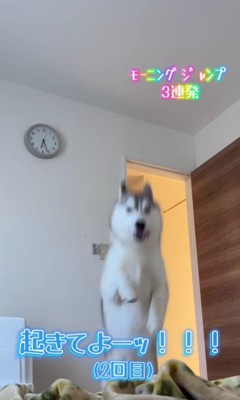 ジャンプ！！