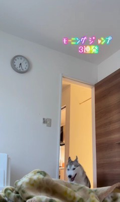 まだまだ…