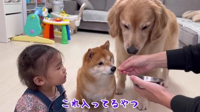 投薬は成功！
