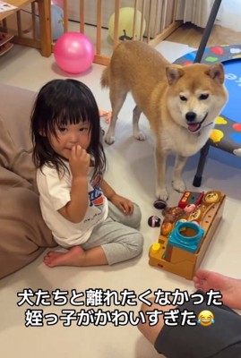 姪っ子ちゃんとリブくん