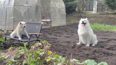 アイスちゃんもニッコリ