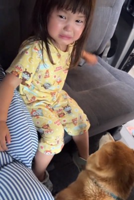 車に乗っていたリブくん