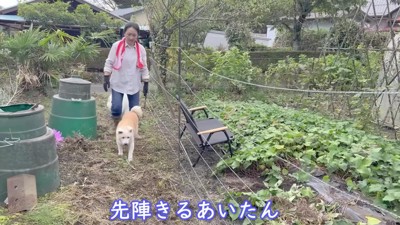 16歳の立派なシニア犬に!