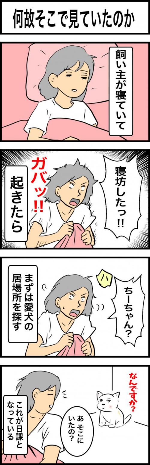 ちーちゃんですけどもっ【第332話】 1
