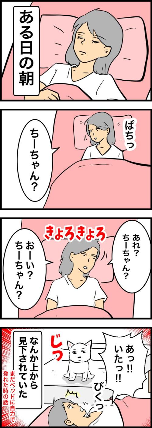 ちーちゃんですけどもっ【第332話】2