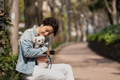 女性2人と柴犬