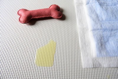 ペットシートの外にされたおしっこ