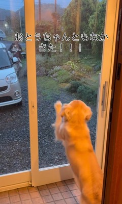 ざらめちゃんとパパの再会