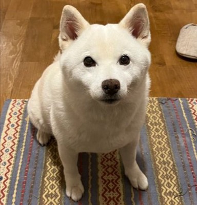 お行儀