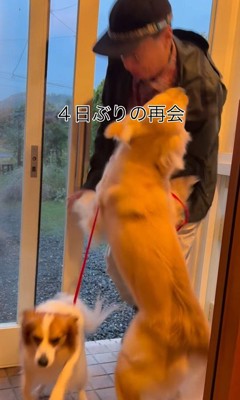 ざらめちゃんとパパの再会7