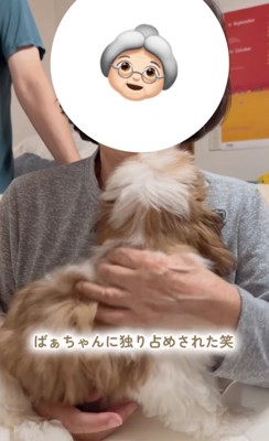 撫でてもらう