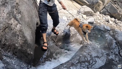 ナラちゃんとソラくんの沢登り3