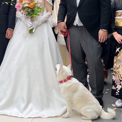 結婚式