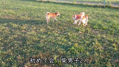 初対面でもこの通り♪