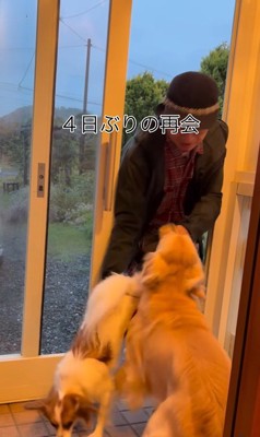 ざらめちゃんとパパの再会6