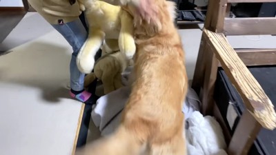 「会いたかったよ~」