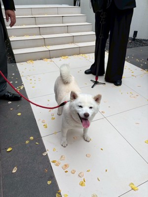 幸せ