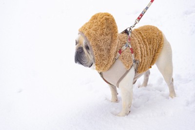 服を着て雪の上を歩く