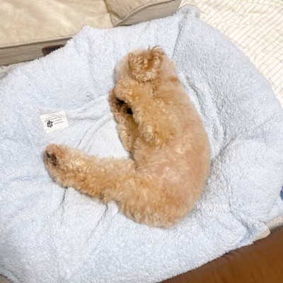 あざとい