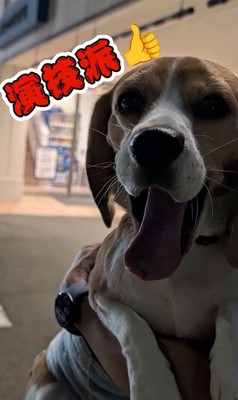 足をかばうこま君9