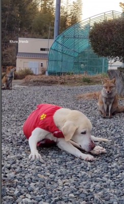 最期まで一緒