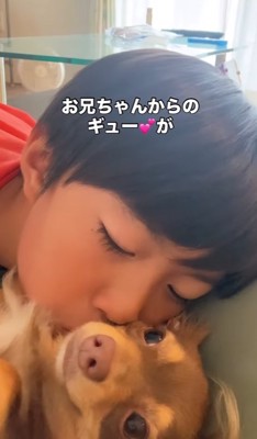 子供にハグされている小型犬