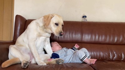 「あらら、大丈夫?」