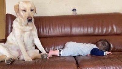 逞しい姿にホッコリ♡